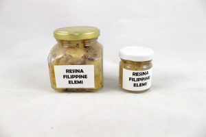 ELEMI